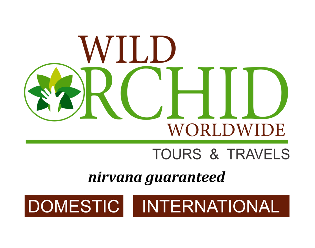 Wild Orchid World Wide